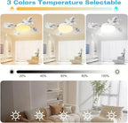 Ceiling light fixture with selectable color temperature in a living room setting.