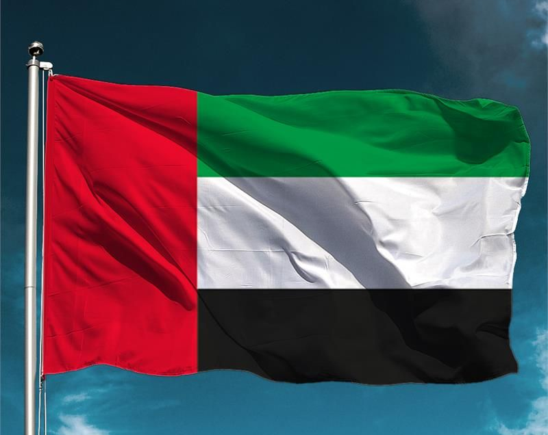 Flag with red, green, white, and black sections against a blue sky.